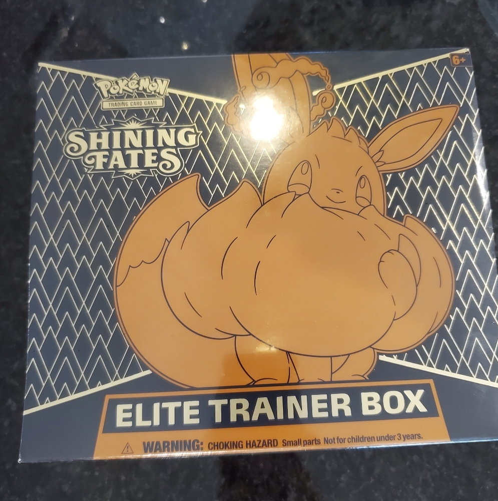 Pokemon Shining Fate Elite Traini…
